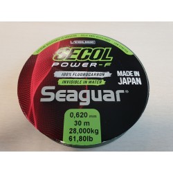Seaguar Secol Power